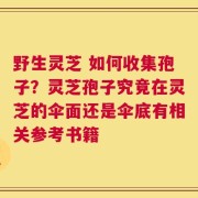 野生灵芝 如何收集孢子？灵芝孢子究竟在灵芝的伞面还是伞底有相关参考书籍