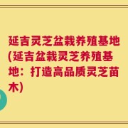 延吉灵芝盆栽养殖基地(延吉盆栽灵芝养殖基地：打造高品质灵芝苗木)