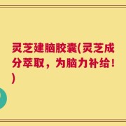 灵芝建脑胶囊(灵芝成分萃取，为脑力补给！)