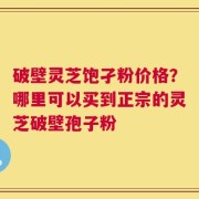 破壁灵芝饱孑粉价格？哪里可以买到正宗的灵芝破壁孢子粉