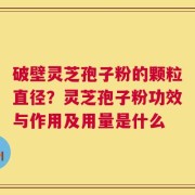破壁灵芝孢子粉的颗粒直径？灵芝孢子粉功效与作用及用量是什么