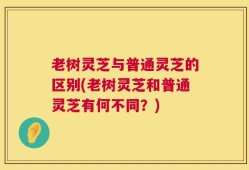 老树灵芝与普通灵芝的区别(老树灵芝和普通灵芝有何不同？)
