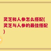 灵芝和人参怎么搭配(灵芝与人参的最佳搭配)