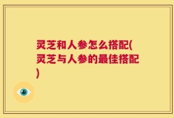 灵芝和人参怎么搭配(灵芝与人参的最佳搭配)