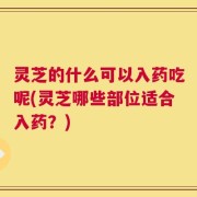 灵芝的什么可以入药吃呢(灵芝哪些部位适合入药？)
