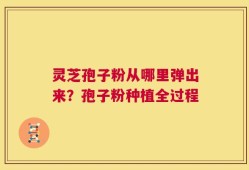 灵芝孢子粉从哪里弹出来？孢子粉种植全过程