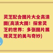 灵芝配合图片大全高清图(高清大图！探索灵芝的世界：多张图片展现灵芝的美与奇妙)