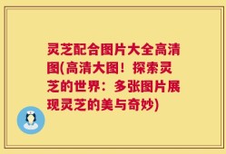 灵芝配合图片大全高清图(高清大图！探索灵芝的世界：多张图片展现灵芝的美与奇妙)