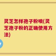 灵芝怎样孢子粉喷(灵芝孢子粉的正确使用方法)