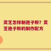 灵芝怎样制孢子粉？灵芝孢子粉的制作配方