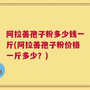 阿拉善孢子粉多少钱一斤(阿拉善孢子粉价格一斤多少？)