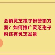 会销灵芝孢子粉营销方案？如何推广灵芝孢子粉还有灵芝盆景