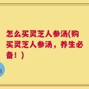怎么买灵芝人参汤(购买灵芝人参汤，养生必备！)