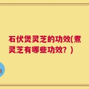 石伏煲灵芝的功效(煮灵芝有哪些功效？)