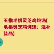 五指毛桃灵芝鸡炖汤(毛桃灵芝鸡炖汤：滋补佳品)