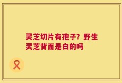 灵芝切片有孢子？野生灵芝背面是白的吗