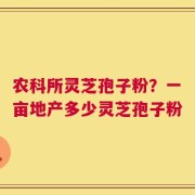 农科所灵芝孢子粉？一亩地产多少灵芝孢子粉