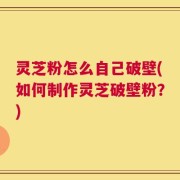 灵芝粉怎么自己破壁(如何制作灵芝破壁粉？)