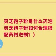 灵芝孢子粉用什么药泡灵芝孢子粉如何合理搭配药材泡制？)
