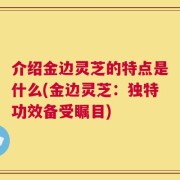 介绍金边灵芝的特点是什么(金边灵芝：独特功效备受瞩目)