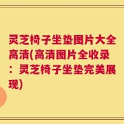 灵芝椅子坐垫图片大全高清(高清图片全收录：灵芝椅子坐垫完美展现)