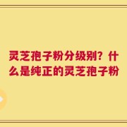 灵芝孢子粉分级别？什么是纯正的灵芝孢子粉