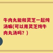 牛肉丸能和灵芝一起炖汤嘛(可以用灵芝炖牛肉丸汤吗？)