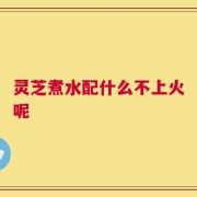 灵芝煮水配什么不上火呢