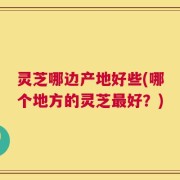 灵芝哪边产地好些(哪个地方的灵芝最好？)