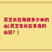 灵芝长在海拔多少米的山(灵芝生长在多高的山区？)