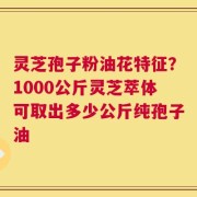灵芝孢子粉油花特征？1000公斤灵芝萃体可取出多少公斤纯孢子油