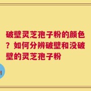 破壁灵芝孢子粉的颜色？如何分辨破壁和没破壁的灵芝孢子粉