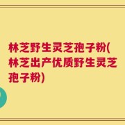 林芝野生灵芝孢子粉(林芝出产优质野生灵芝孢子粉)