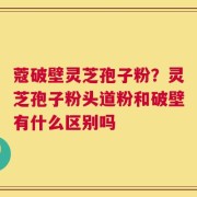 蔻破壁灵芝孢子粉？灵芝孢子粉头道粉和破壁有什么区别吗