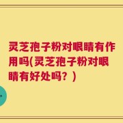 灵芝孢子粉对眼睛有作用吗(灵芝孢子粉对眼睛有好处吗？)