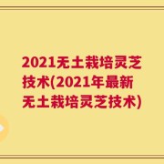 2021无土栽培灵芝技术(2021年最新无土栽培灵芝技术)