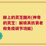 脚上的灵芝图片(神奇的灵芝：解读其抗衰老和免疫调节功能)