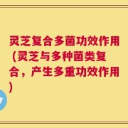 灵芝复合多菌功效作用 (灵芝与多种菌类复合，产生多重功效作用)
