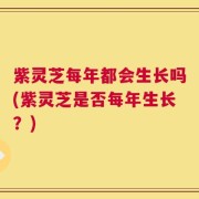 紫灵芝每年都会生长吗(紫灵芝是否每年生长？)