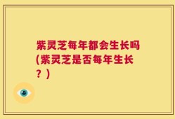 紫灵芝每年都会生长吗(紫灵芝是否每年生长？)