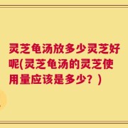 灵芝龟汤放多少灵芝好呢(灵芝龟汤的灵芝使用量应该是多少？)