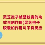 灵芝孢子破壁胶囊的功效与副作用(灵芝孢子胶囊的作用与不良反应