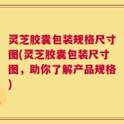 灵芝胶囊包装规格尺寸图(灵芝胶囊包装尺寸图，助你了解产品规格)