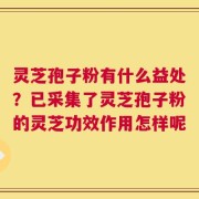 灵芝孢子粉有什么益处？已采集了灵芝孢子粉的灵芝功效作用怎样呢