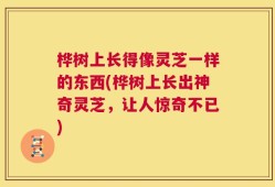 桦树上长得像灵芝一样的东西(桦树上长出神奇灵芝，让人惊奇不已)