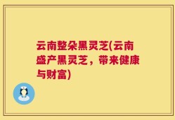 云南整朵黑灵芝(云南盛产黑灵芝，带来健康与财富)