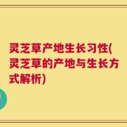灵芝草产地生长习性(灵芝草的产地与生长方式解析)