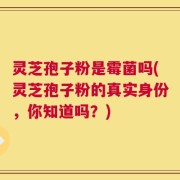 灵芝孢子粉是霉菌吗(灵芝孢子粉的真实身份，你知道吗？)