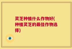 灵芝种植什么作物好(种植灵芝的最佳作物选择)