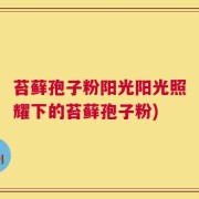 苔藓孢子粉阳光阳光照耀下的苔藓孢子粉)